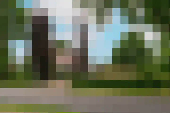 Nieuwendijk 95 Someren foto 2
