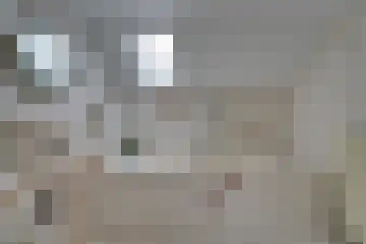Nieuwendijk 95 Someren thumbnail 20