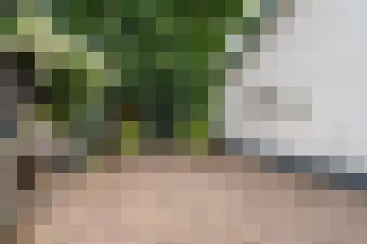 Nieuwendijk 95 Someren thumbnail 24