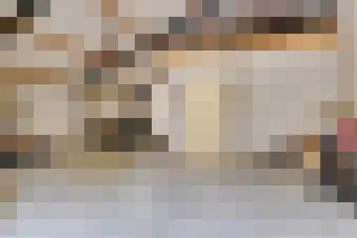 Nieuwendijk 95 Someren thumbnail 25