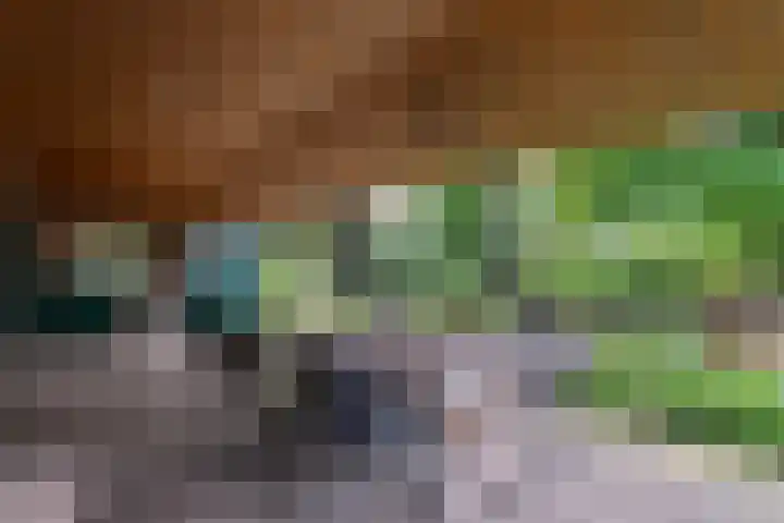 Nieuwendijk 95 Someren thumbnail 26