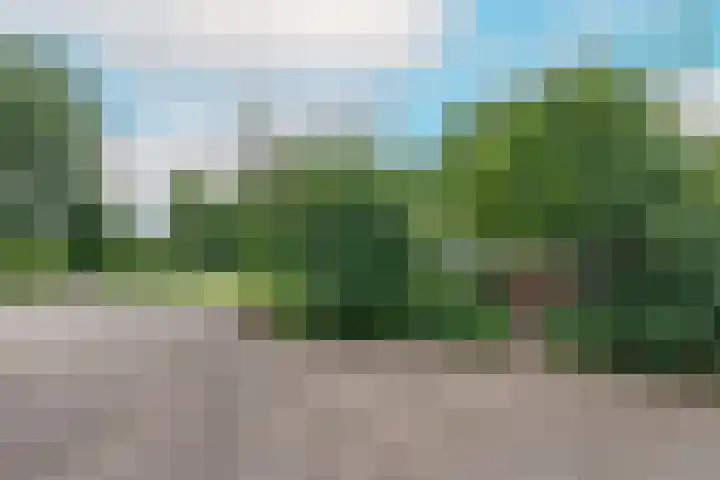 Nieuwendijk 95 Someren thumbnail 31