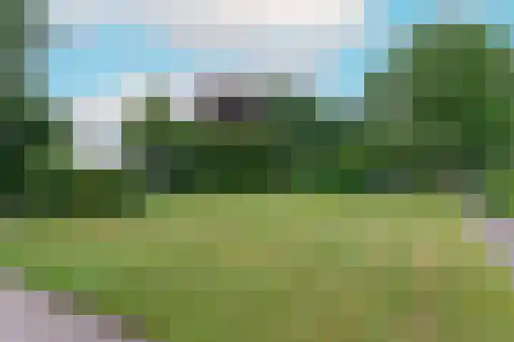 Nieuwendijk 95 Someren thumbnail 33