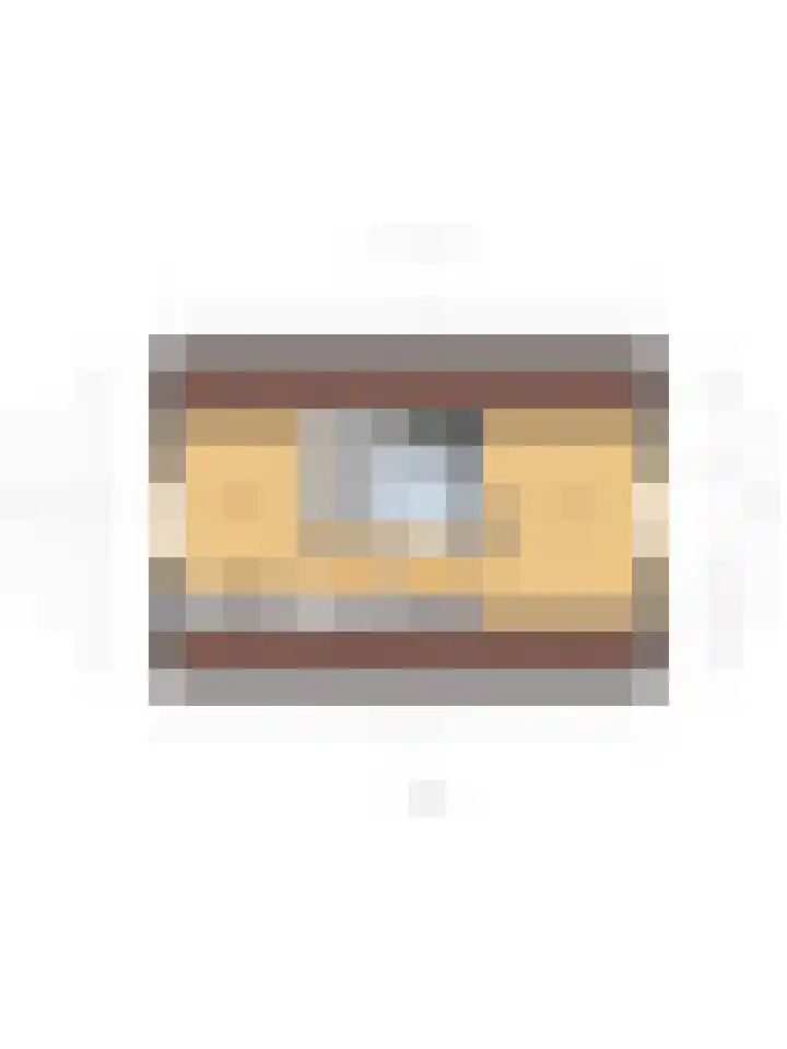 Nieuwendijk 95 Someren thumbnail 36