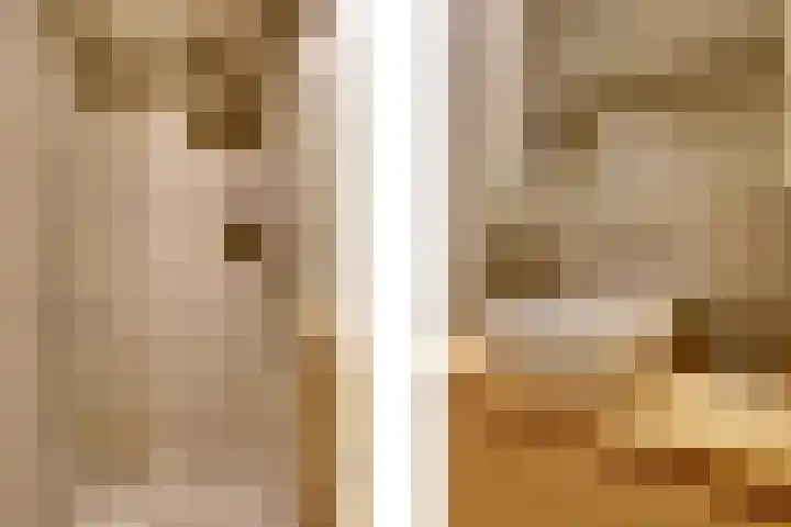 Nieuwendijk 95 Someren thumbnail 4