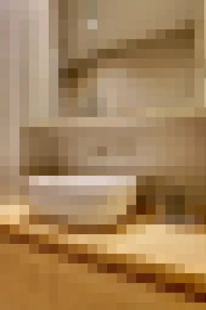 Nieuwendijk 95 Someren thumbnail 5