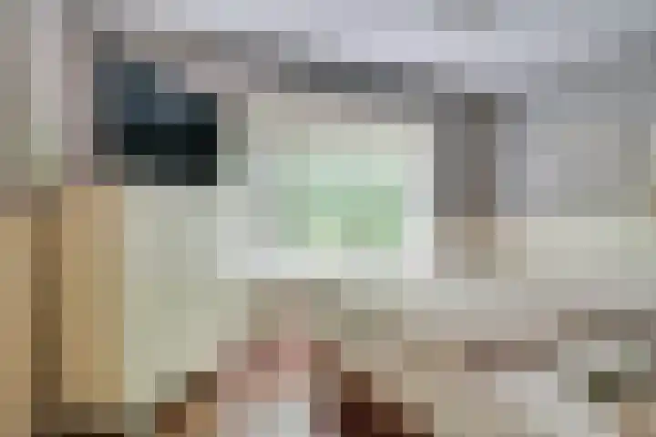 Nieuwendijk 95 Someren thumbnail 6