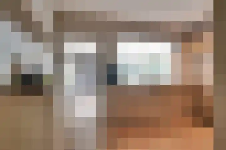 Nieuwendijk 95 Someren thumbnail 7