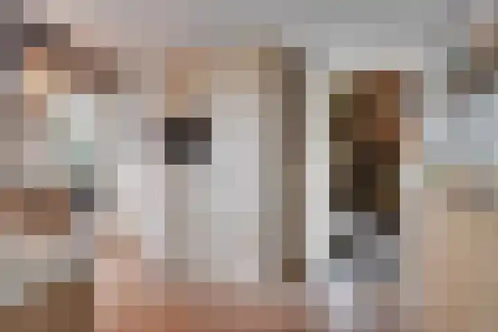 Nieuwendijk 95 Someren thumbnail 9