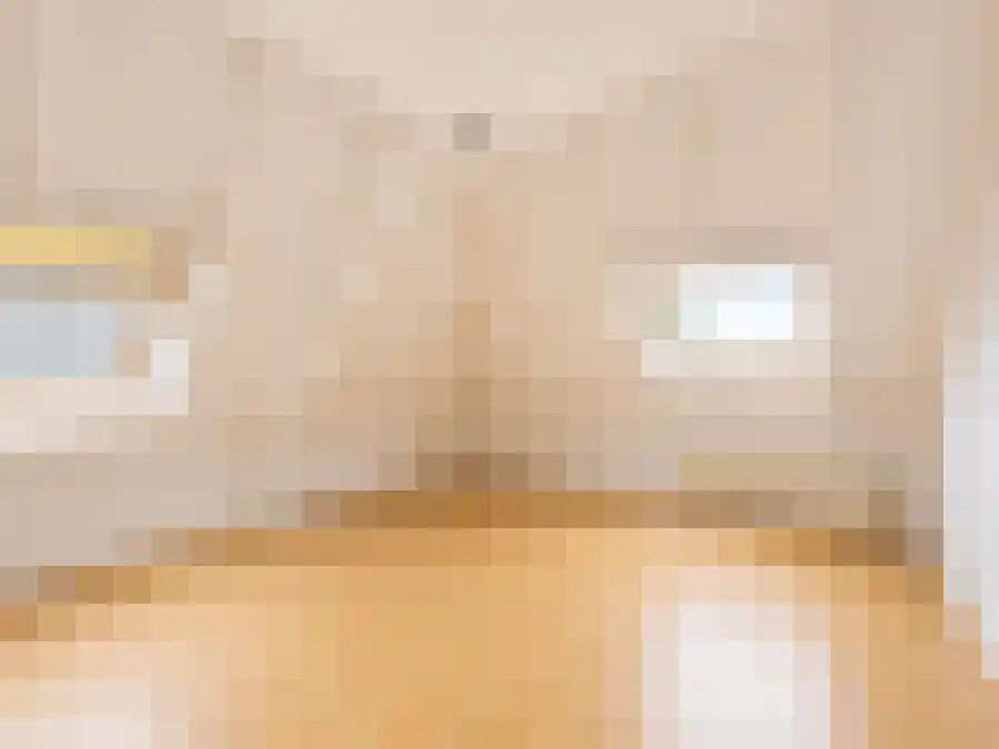 Nieuwendijk Wijhe foto 3
