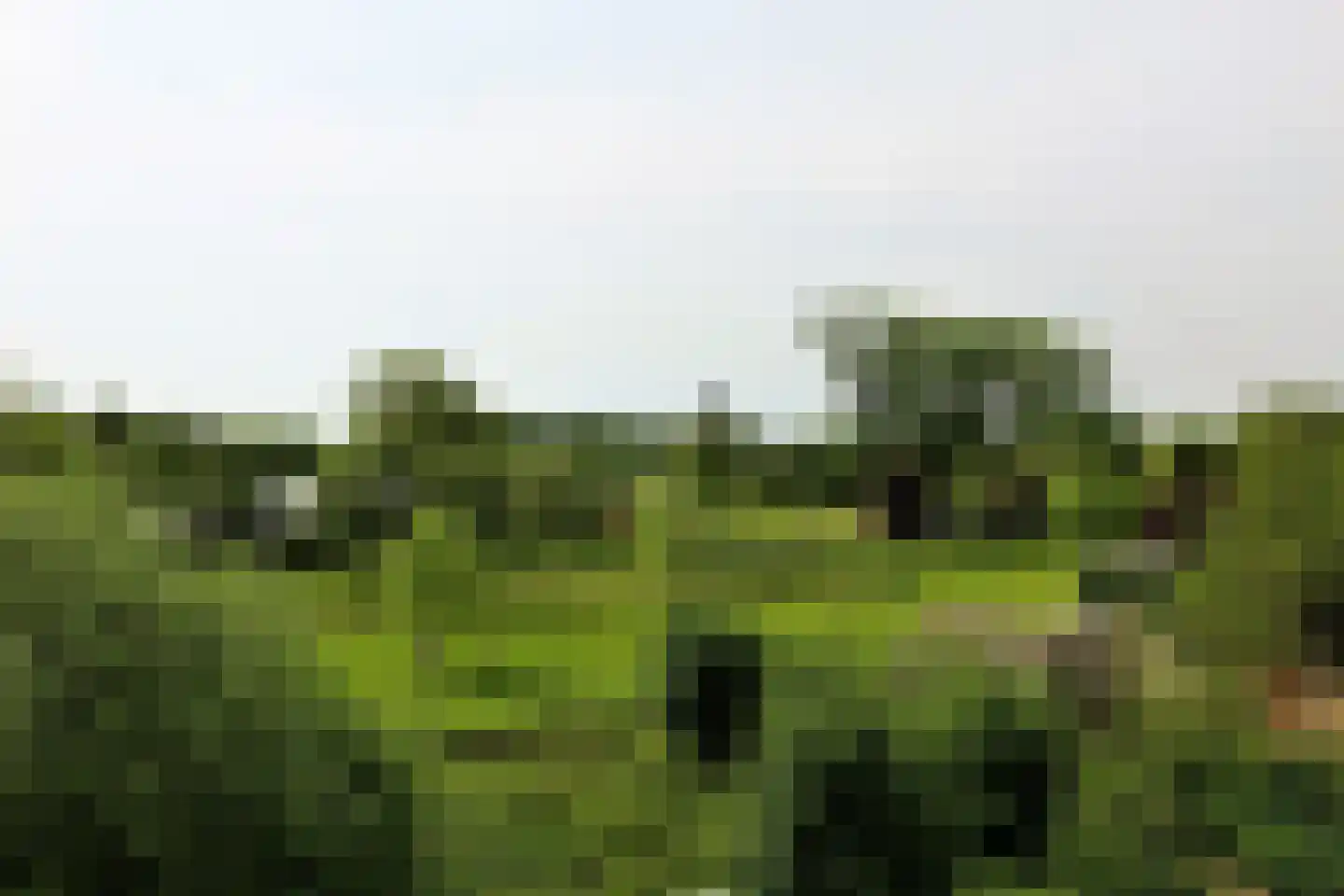 Nieuwenhagerheidestraat 70 B Landgraaf thumbnail 17
