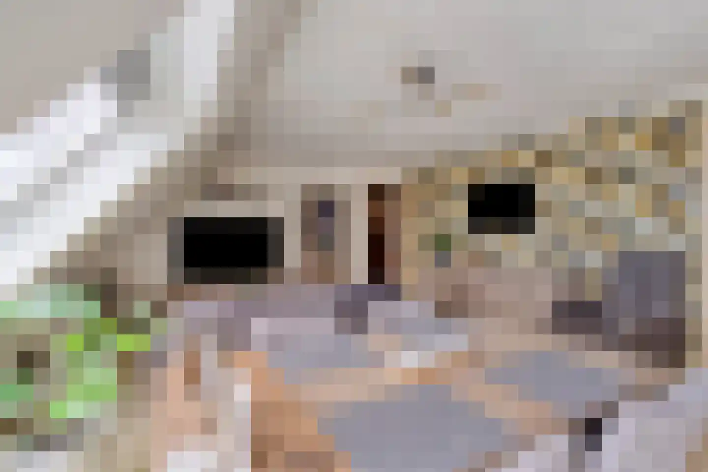 Nieuwenhagerheidestraat 70 B Landgraaf thumbnail 9