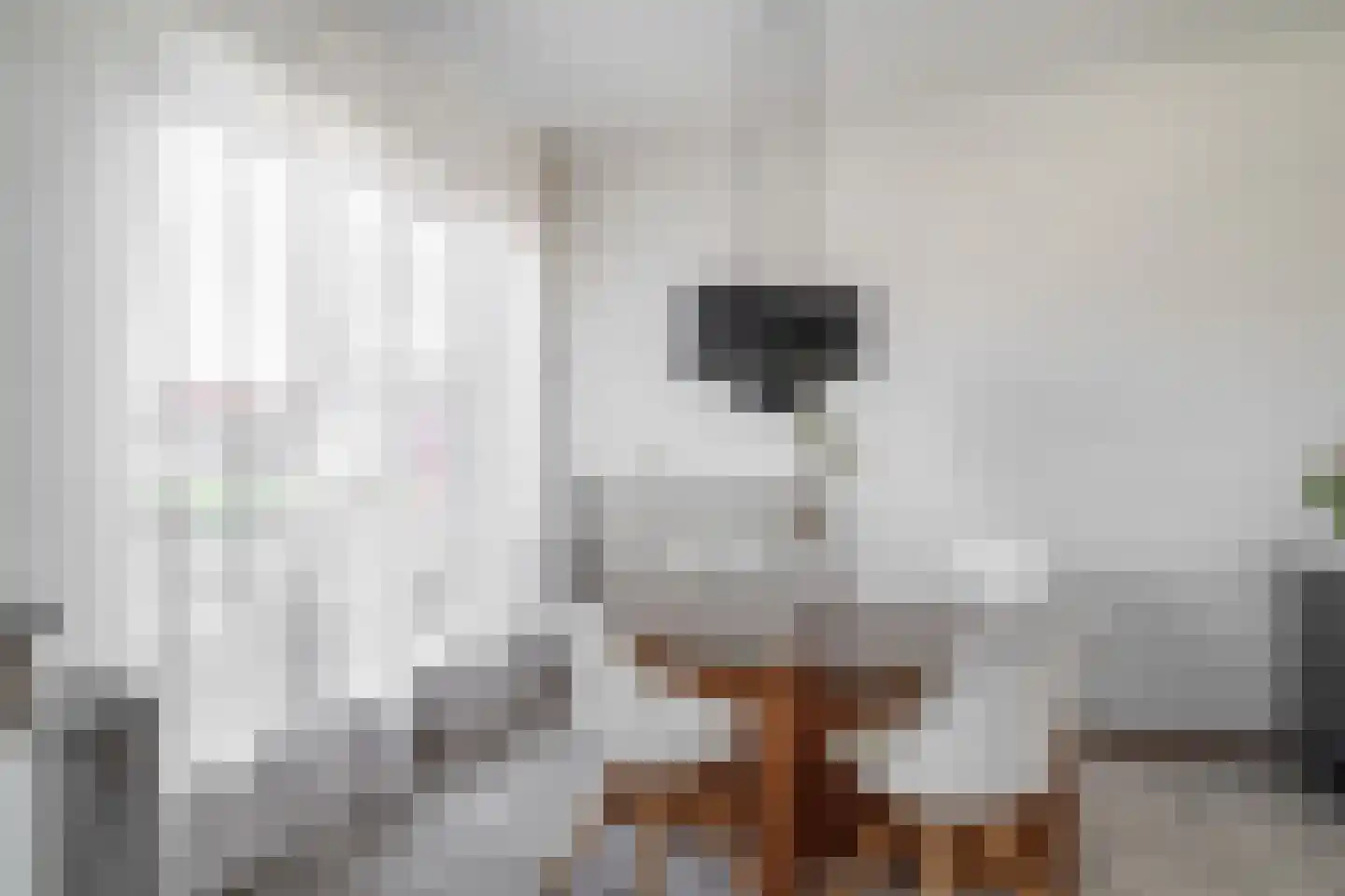 Nieuwenhagerheidestraat 71 Landgraaf thumbnail 8