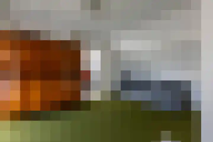 Nieuwenhagerheidestraat 78 Landgraaf thumbnail 21
