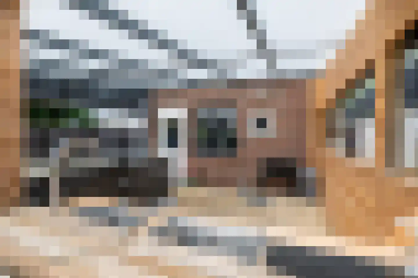 Nieuwenhagerstraat 28 Landgraaf thumbnail 46