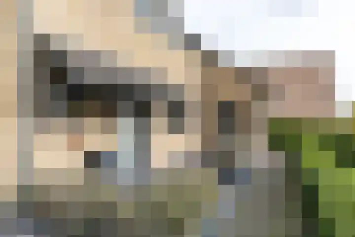 Nieuwenhagerweg 39 Eygelshoven thumbnail 4