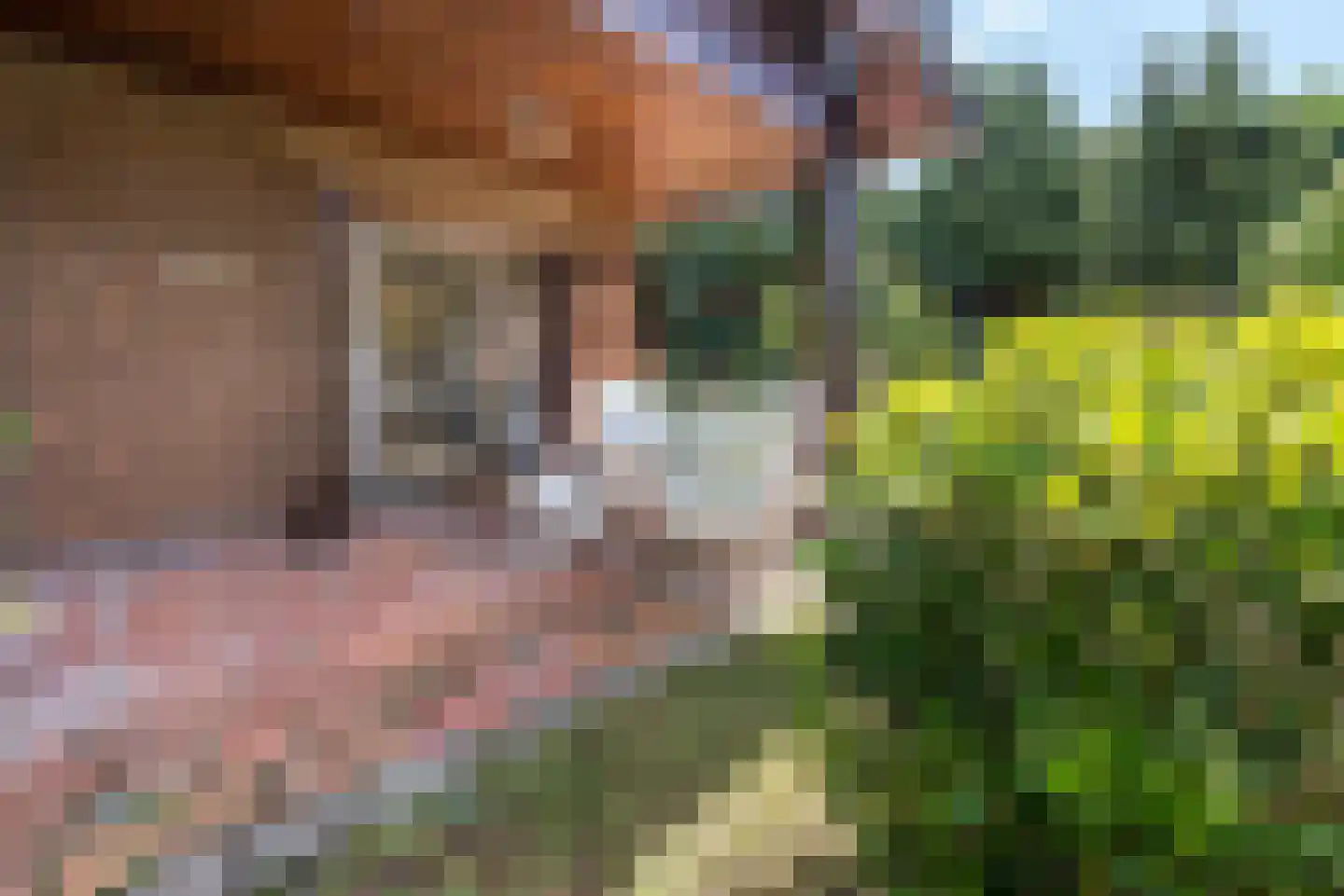 Nieuwenhagerweg 72 Eygelshoven thumbnail 20