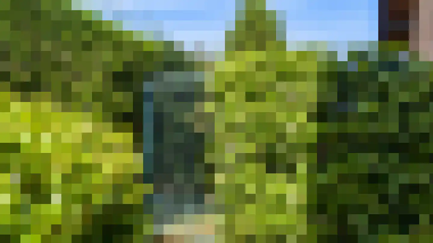 Nieuwenhagerweg 72 Eygelshoven thumbnail 30