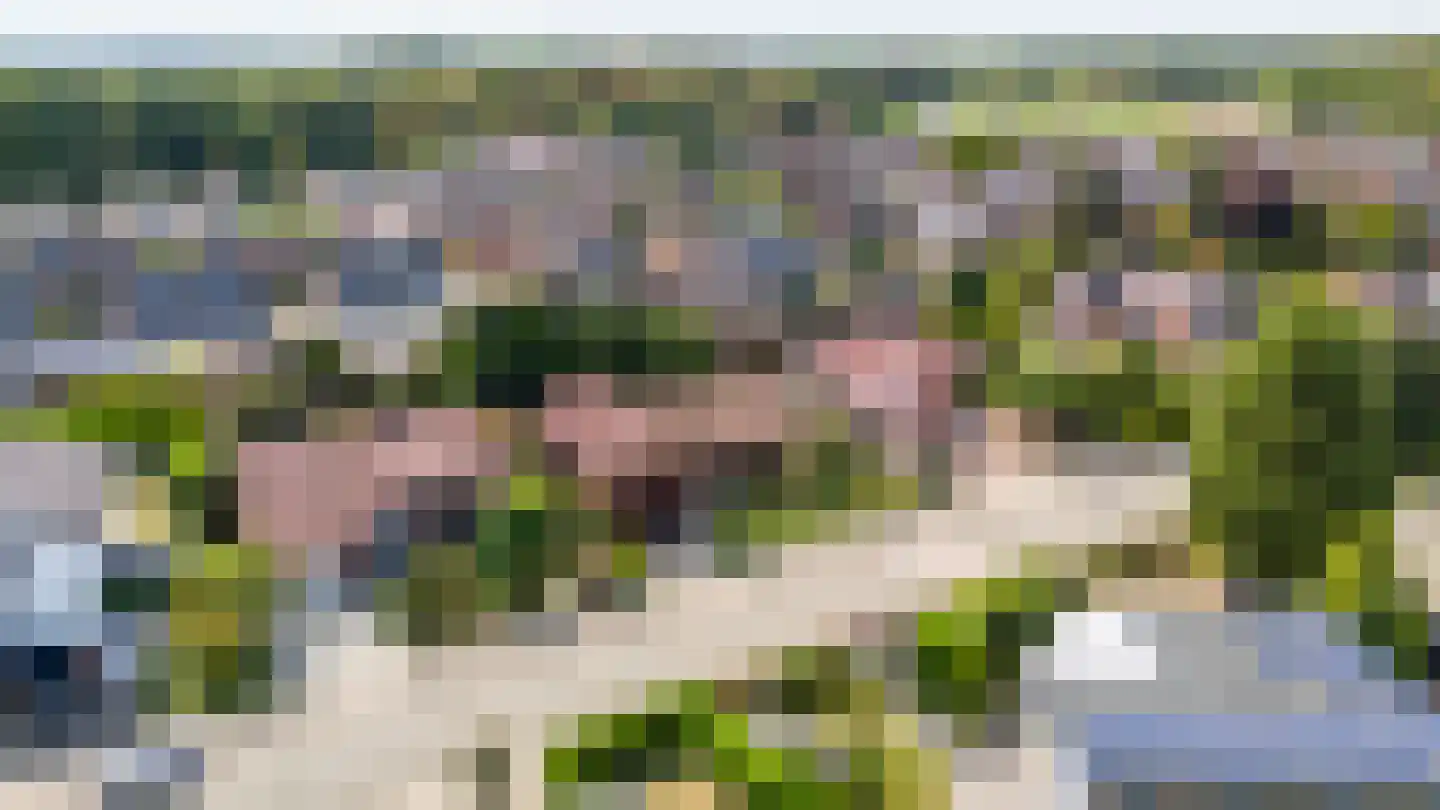 Nieuwenhagerweg 72 Eygelshoven thumbnail 33