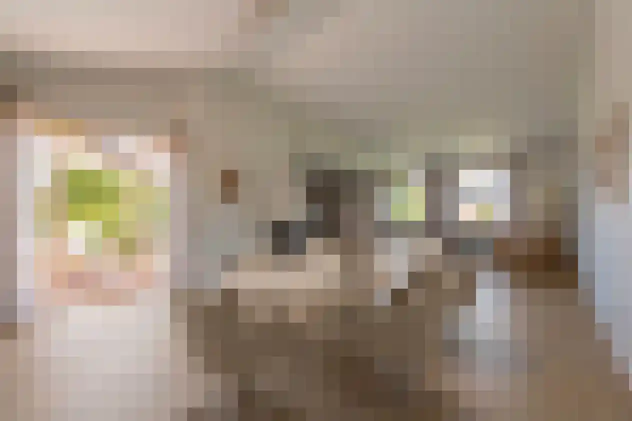 Nieuwenhagerweg 72 Eygelshoven thumbnail 37