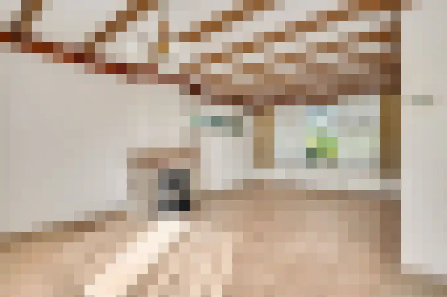 Nieuwenheerd 13 Weert thumbnail 13