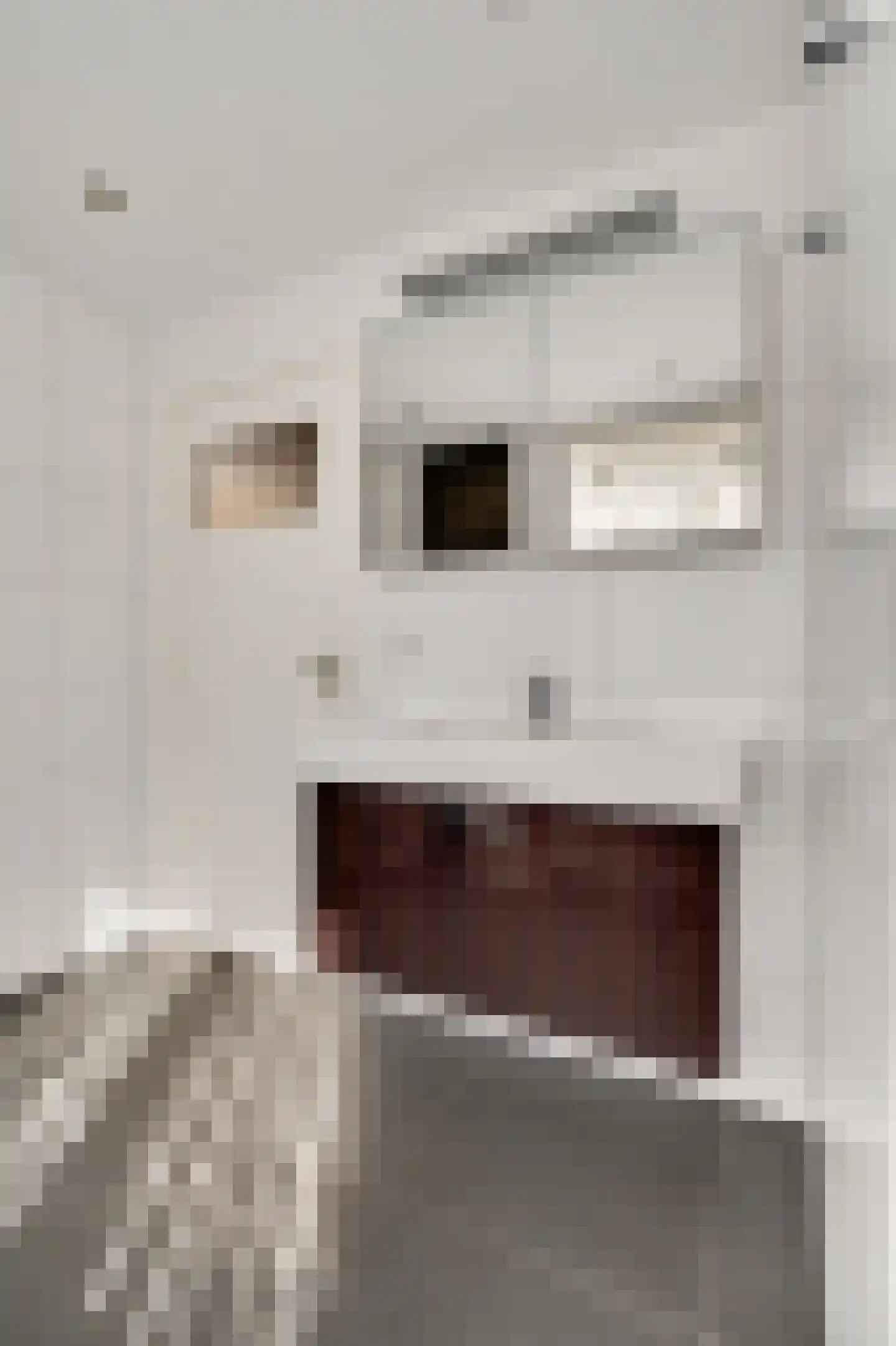 Nieuwenheerd 13 Weert thumbnail 30