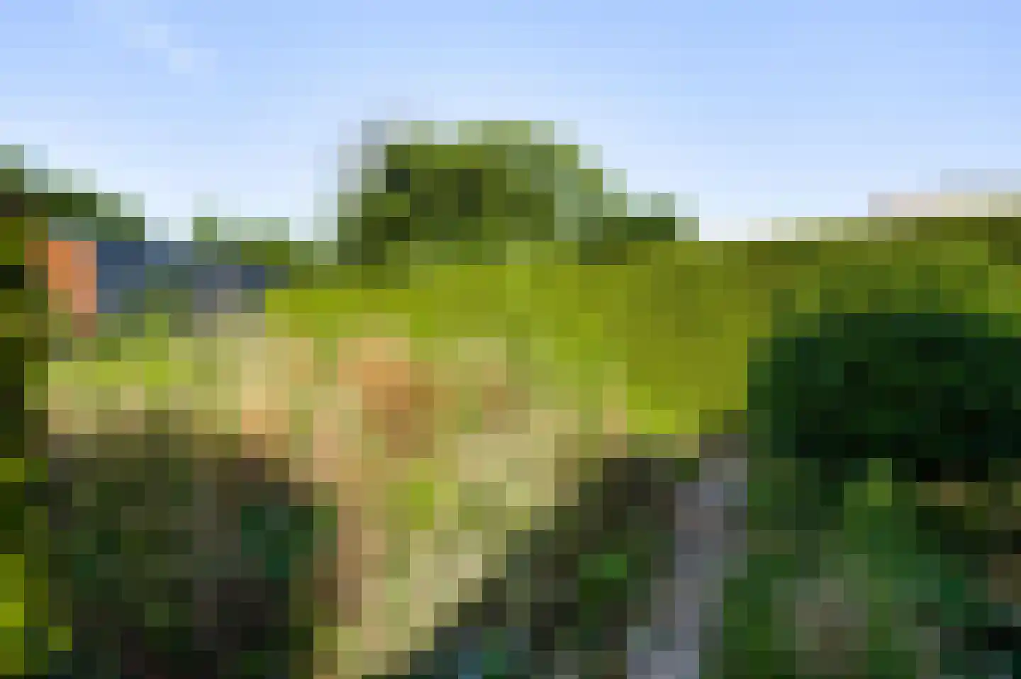 Nieuwenheerd 13 Weert thumbnail 38