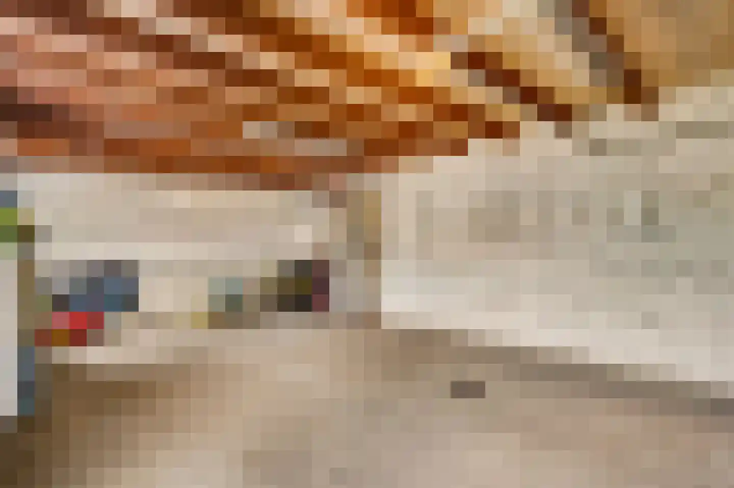 Nieuwenheerd 13 Weert thumbnail 39