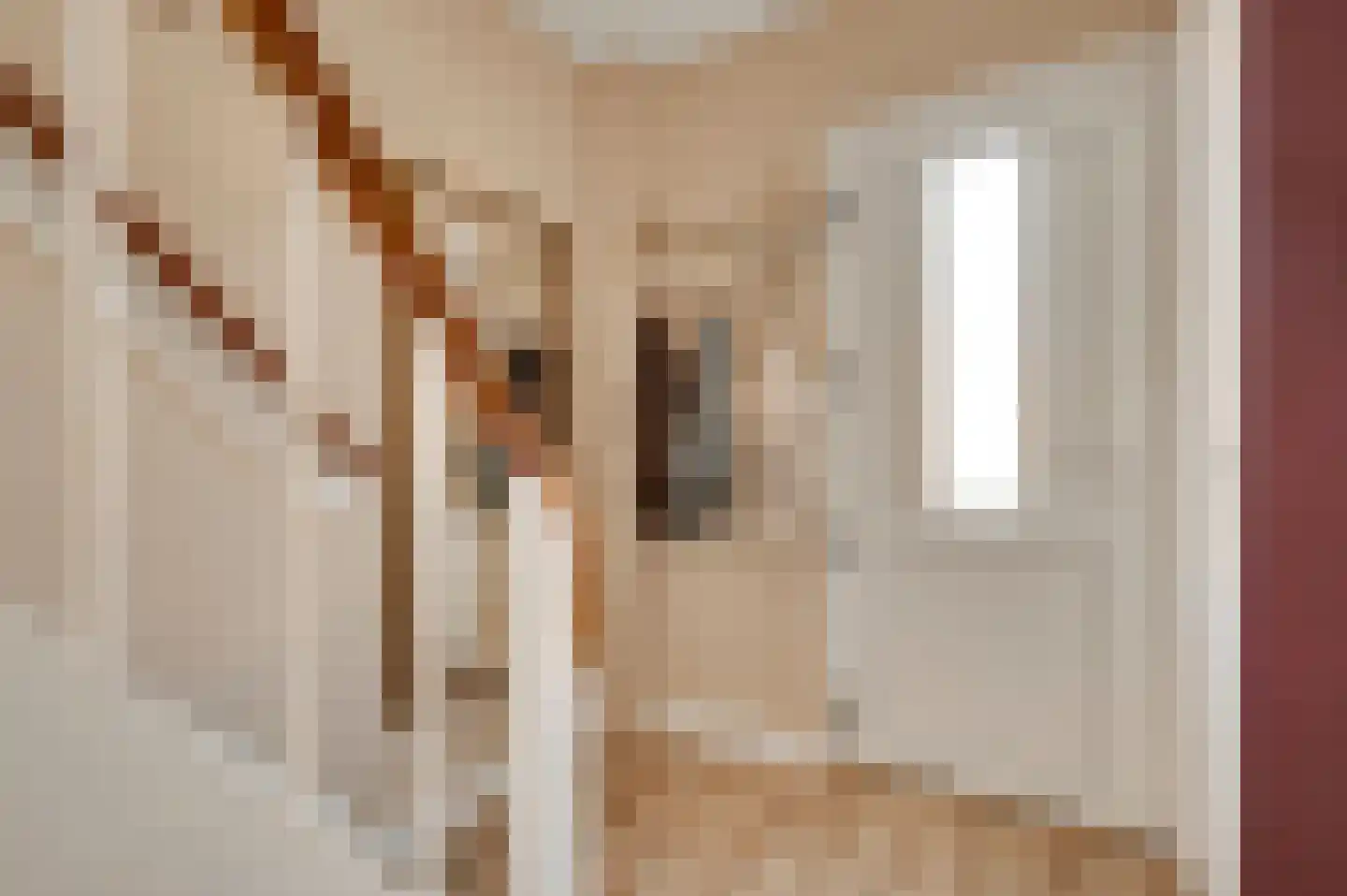 Nieuwenheerd 16 Weert thumbnail 11