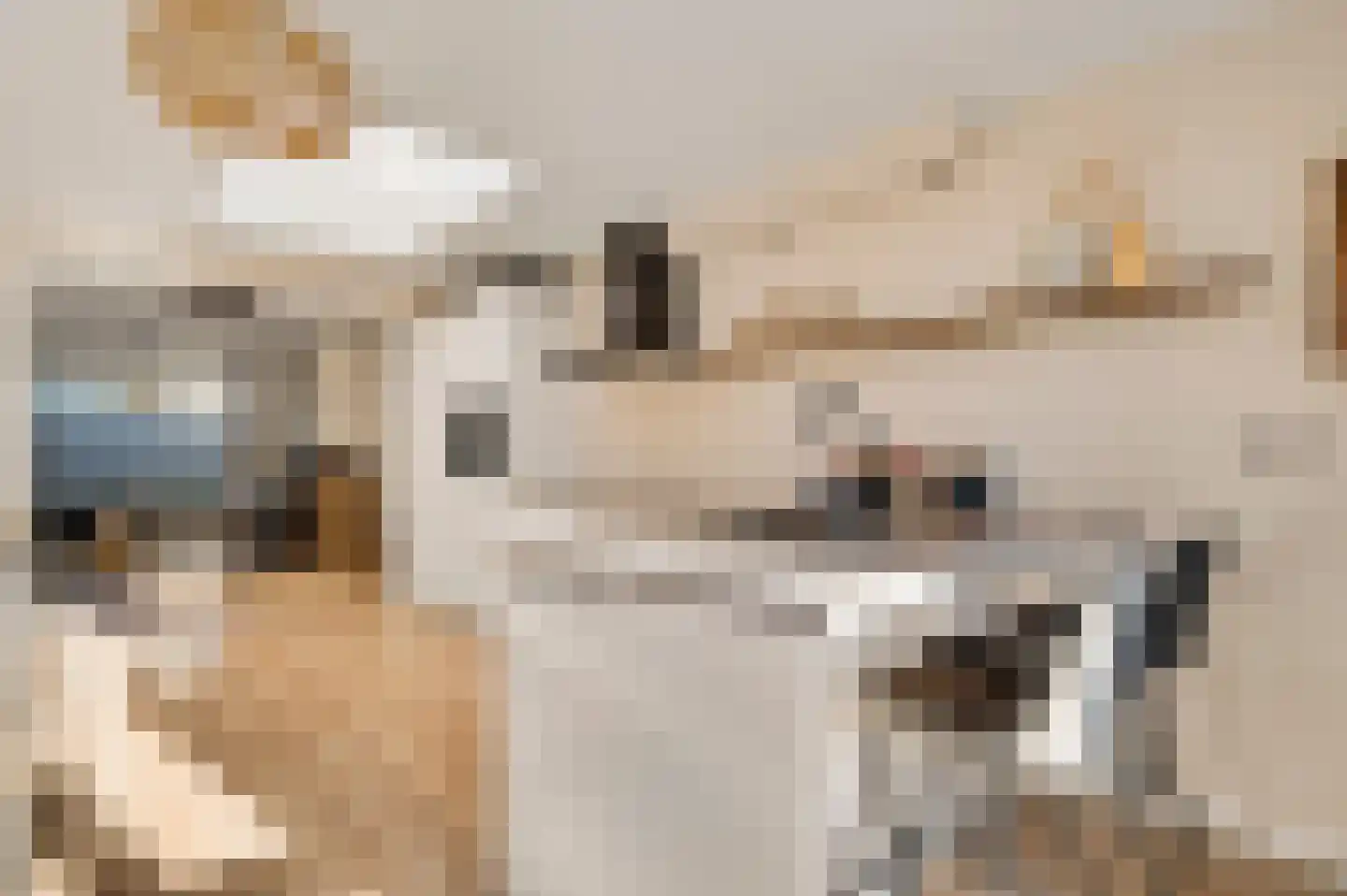 Nieuwenheerd 16 Weert thumbnail 17