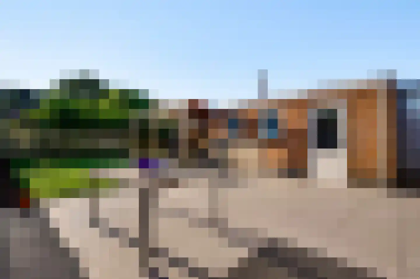 Nieuwenheerd 16 Weert thumbnail 19