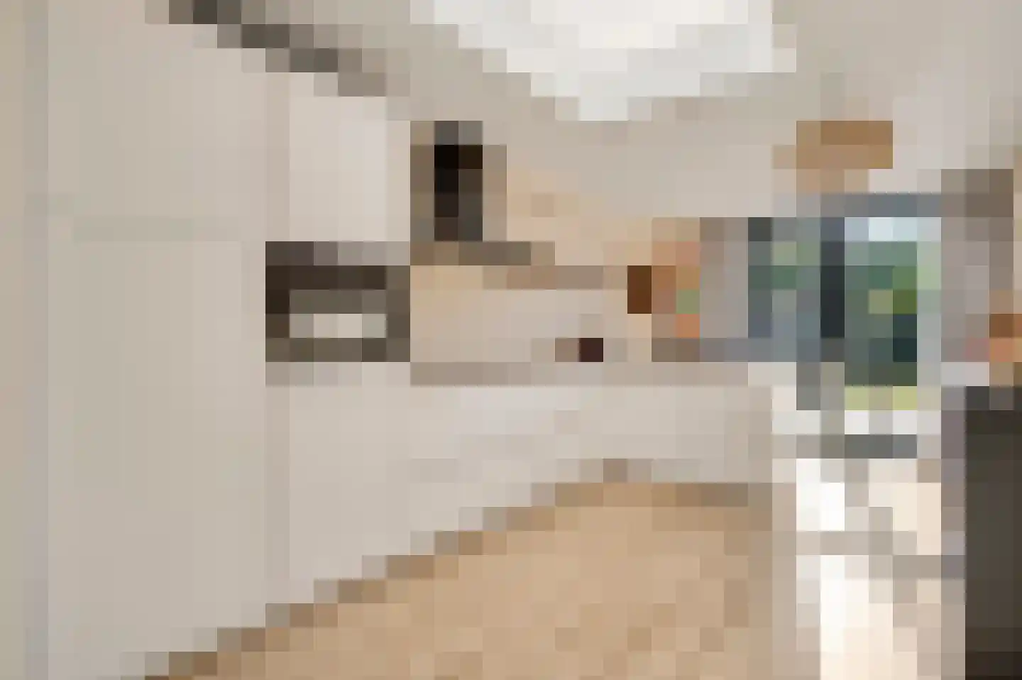 Nieuwenheerd 16 Weert thumbnail 4