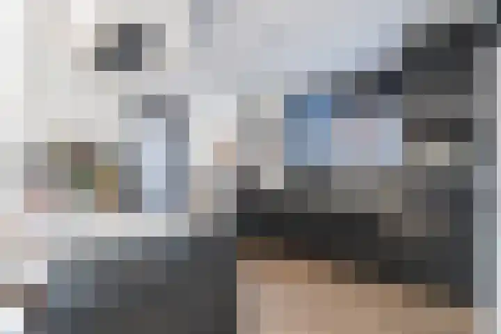 Nieuwenheerd 31 Weert thumbnail 10