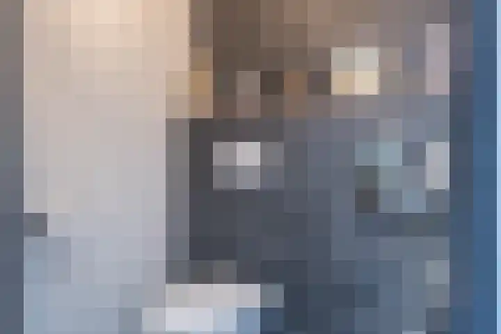 Nieuwenheerd 31 Weert thumbnail 15
