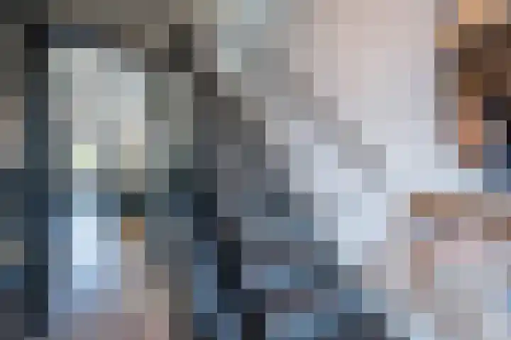 Nieuwenheerd 31 Weert thumbnail 16