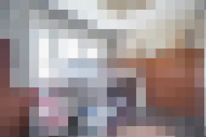 Nieuwenheerd 31 Weert thumbnail 18