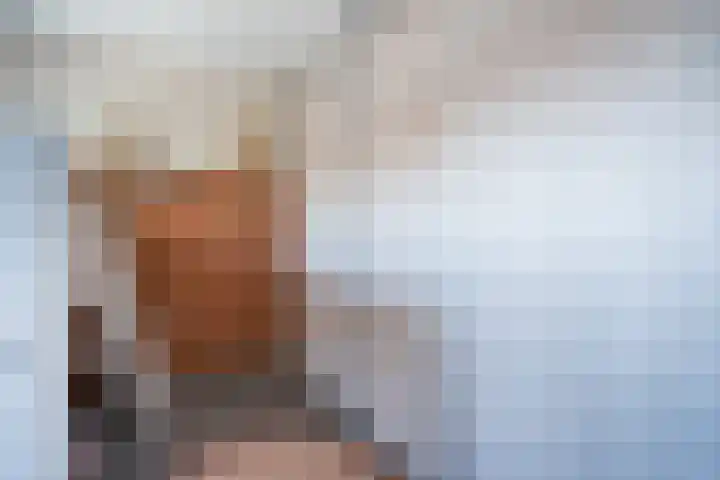 Nieuwenheerd 31 Weert thumbnail 19