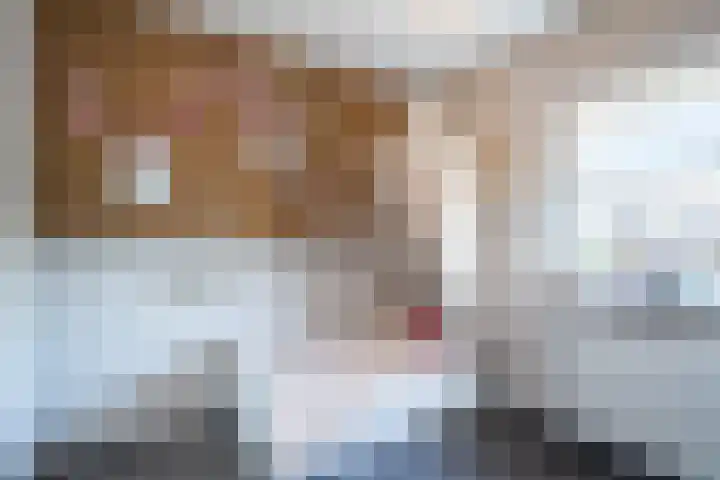 Nieuwenheerd 31 Weert thumbnail 24