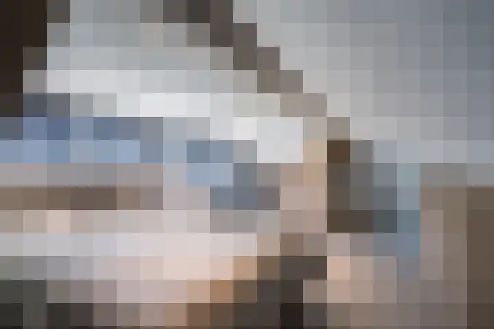 Nieuwenheerd 31 Weert thumbnail 33