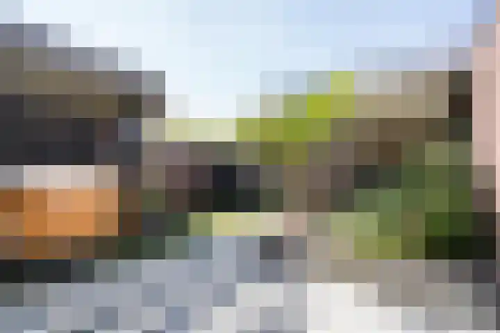 Nieuwenheerd 31 Weert thumbnail 34