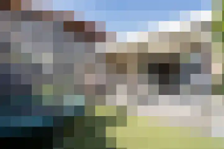 Nieuwenheerd 31 Weert thumbnail 36