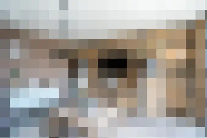 Nieuwenheerd 31 Weert thumbnail 39
