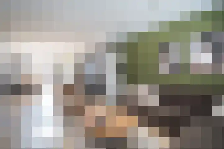 Nieuwenheerd 31 Weert thumbnail 5