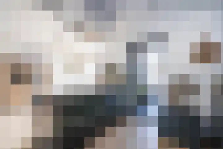 Nieuwenheerd 31 Weert thumbnail 9