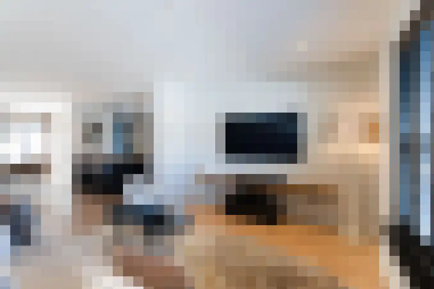 Nieuwenheerd 36 Weert thumbnail 14