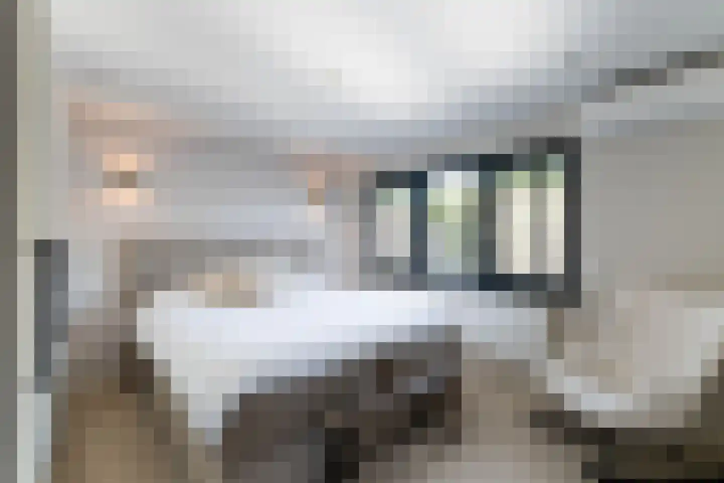 Nieuwenheerd 36 Weert thumbnail 4