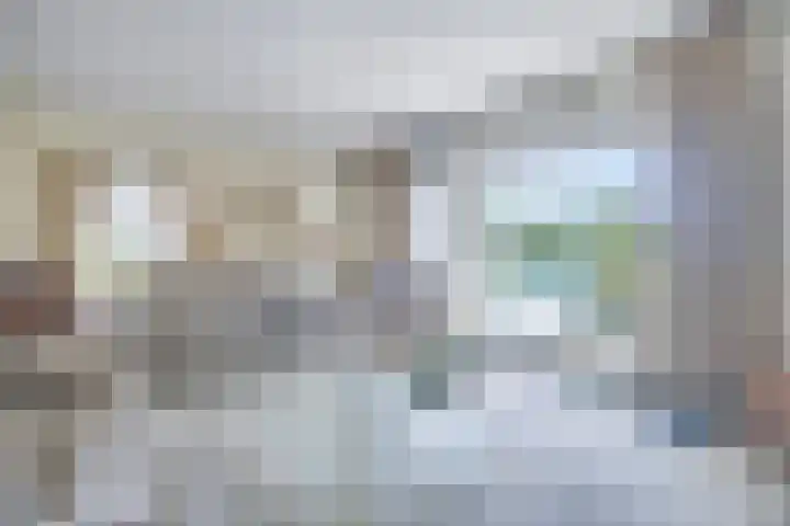 Nieuwenhoflaan 10 Moergestel thumbnail 11