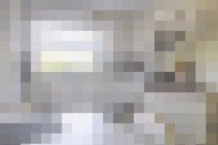 Nieuwenhoflaan 10 Moergestel thumbnail 14