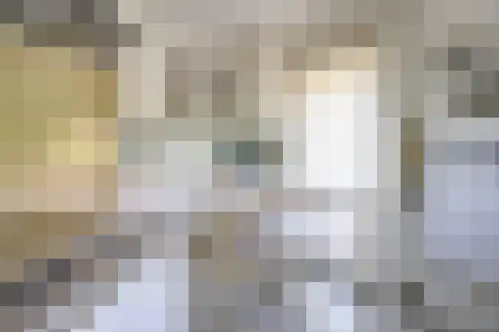 Nieuwenhoflaan 10 Moergestel thumbnail 15