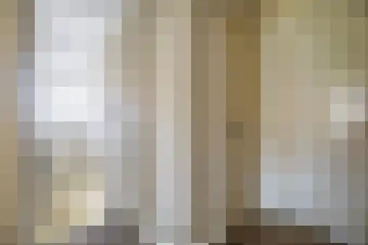 Nieuwenhoflaan 10 Moergestel thumbnail 16